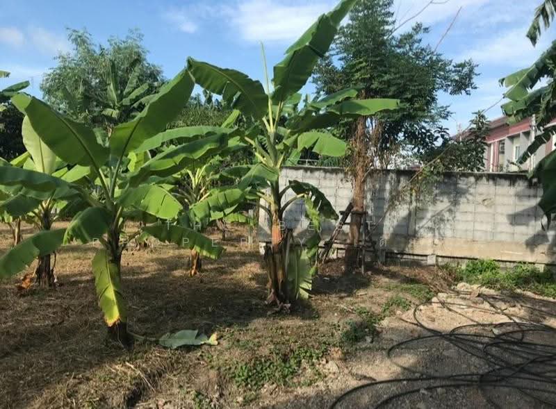 ที่ดินบางบัวทอง นนทบุรี, Nonthaburi, Bang Rak Pattana, Bang Bua Thong, Nonthaburi, , 380 sqm, Land For Sale, by The Best Property เดี่ยว, 500641163 - DDproperty.com