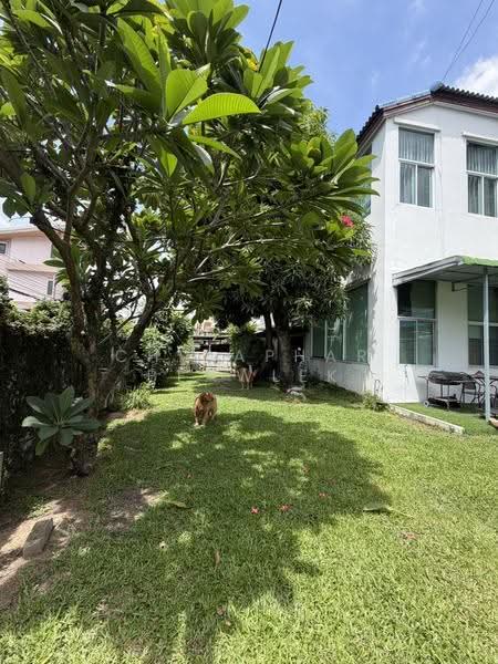 บ้านเดี่ยวแปลงมุม สุขุมวิท 64 ใกล้บีทีเอสปุณณวิถี 400 ม., กรุงเทพ, บางจาก, พระโขนง, กรุงเทพ, 350 ตร.ม., บ้านเดี่ยว ขาย, โดย Chidaphar Beawlek, 500641224 - DDproperty.com