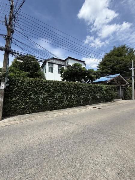 Single house, corner plot, Sukhumvit 64 near Punnawithi BTS., Bangkok, Bang Chak, Phra Khanong, Bangkok, 6 Bedrooms, 350 sqm, Single Detached House For Sale, by Chidaphar Beawlek, 500641224 - DDproperty.com