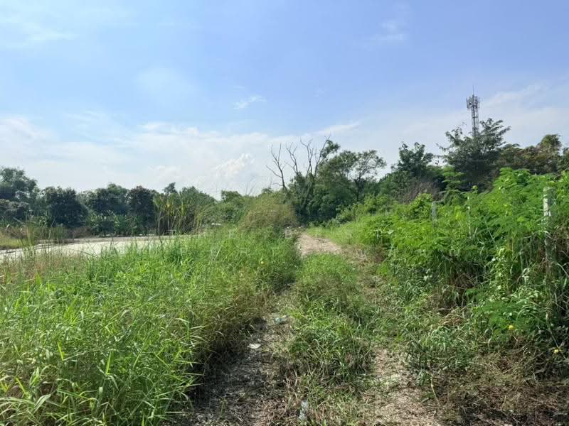ที่ดินบางเขน กรุงเทพมหานคร, Bangkok, Khlong Tanon, Sai Mai, Bangkok, , 400 sqm, Land For Sale, by The Best Property ญมินณ์, 500641246 - DDproperty.com