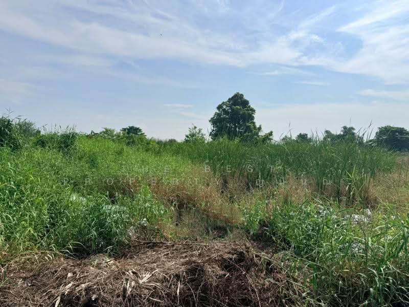 ที่ดินบางเขน กรุงเทพมหานคร, Bangkok, Khlong Tanon, Sai Mai, Bangkok, , 400 sqm, Land For Sale, by The Best Property ญมินณ์, 500641246 - DDproperty.com