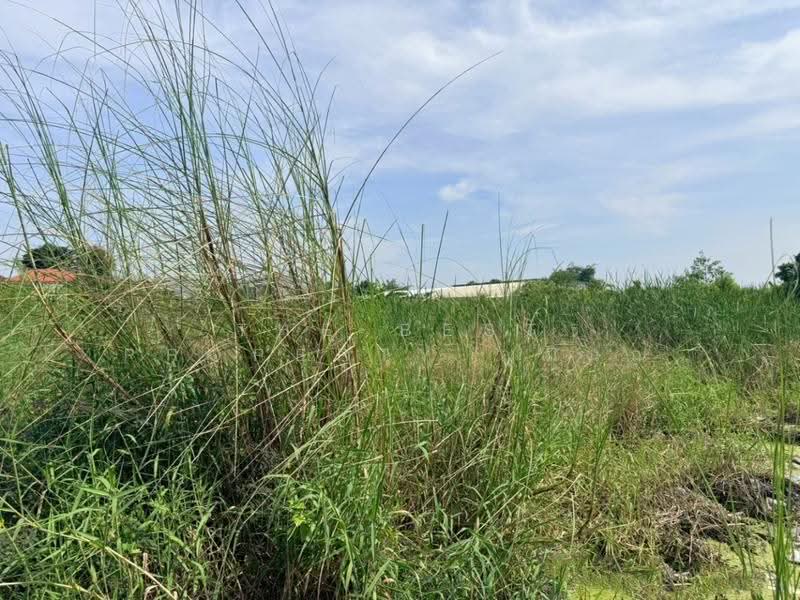 ที่ดินบางเขน กรุงเทพมหานคร, Bangkok, Khlong Tanon, Sai Mai, Bangkok, , 400 sqm, Land For Sale, by The Best Property ญมินณ์, 500641246 - DDproperty.com