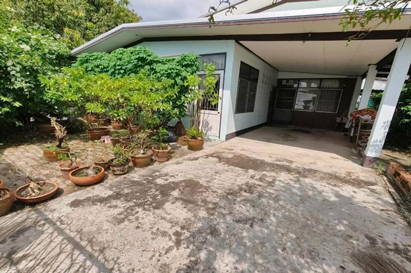 การเคหะท่าทราย, กรุงเทพ, ถนนประชาชื่น, ทุ่งสองห้อง, หลักสี่, กรุงเทพ, 288 ตร.ม., บ้านเดี่ยว ขาย, โดย คุณนุ่น, 500641275 - DDproperty.com