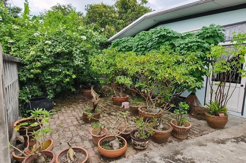 การเคหะท่าทราย, กรุงเทพ, ถนนประชาชื่น, ทุ่งสองห้อง, หลักสี่, กรุงเทพ, 288 ตร.ม., บ้านเดี่ยว ขาย, โดย คุณนุ่น, 500641275 - DDproperty.com