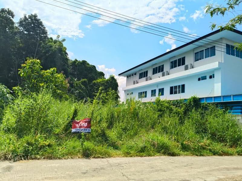 ที่ดินหัวทะเล นครราชสีมา, Nakhon Ratchasima, Hua Thale, Muang Nakhon Ratchasima, Nakhon Ratchasima, , 2,448 sqm, Land For Sale, by The Best Property ยุ, 500641551 - DDproperty.com