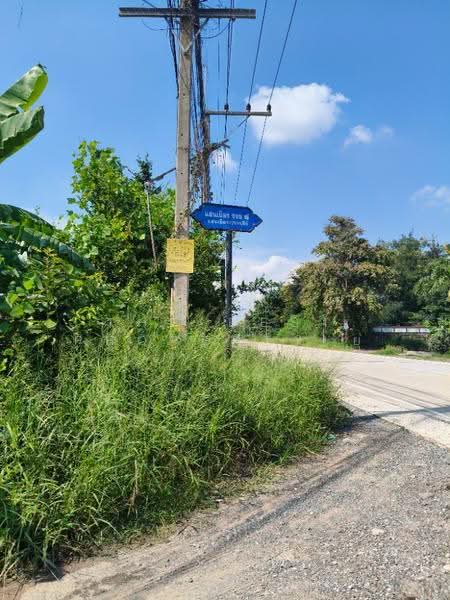 ที่ดินหัวทะเล นครราชสีมา, Nakhon Ratchasima, Hua Thale, Muang Nakhon Ratchasima, Nakhon Ratchasima, , 2,448 sqm, Land For Sale, by The Best Property ยุ, 500641551 - DDproperty.com