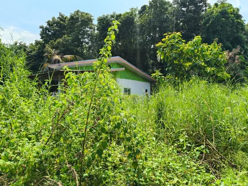 ที่ดินหัวทะเล นครราชสีมา, Nakhon Ratchasima, Hua Thale, Muang Nakhon Ratchasima, Nakhon Ratchasima, , 2,448 sqm, Land For Sale, by The Best Property ยุ, 500641551 - DDproperty.com
