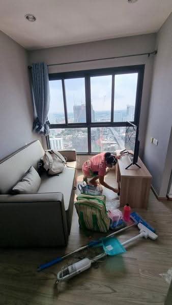 The Tree Hua Mak, Bangkok, Ramkhamhaeng Road, Hua Mak, Bang Kapi, Bangkok, 1 Bedroom, 29 sqm, Condo For Rent, by Connex Property, 500641624 - DDproperty.com