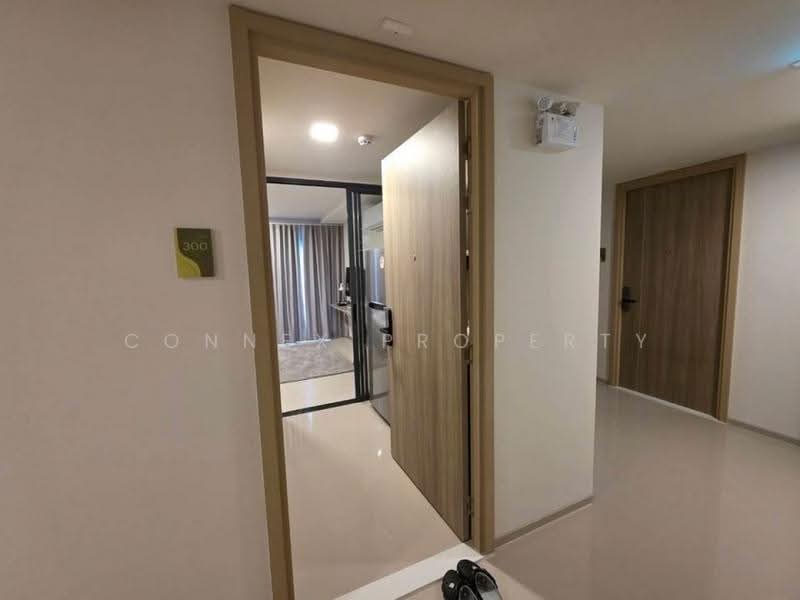 The Base Rise, Phuket, Wichit, Muang Phuket, Phuket, 1 Bedroom, 25 sqm, Condo For Rent, by Connex Property, 500641717 - DDproperty.com