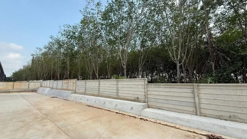 For Rent/Sale: Newly built factory/warehouse (5,742 sq.m.), ready for immediate occupancy., Rayong, Phananikhom, Nikhom Pattana, Rayong, , 5,742 sqm, Warehouse/Factory For Sale, by RICHWELL INTERPLUS, 500642134 - DDproperty.com