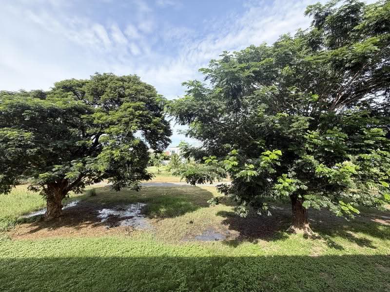 Baan Klang Muang Srinakarin – Onnut : บ้านกลางเมือง ศรีนครินทร์ – อ่อนนุช, กรุงเทพ, 174 ซอย อ่อนนุช 70/1, ประเวศ, กรุงเทพ, 141 ตร.ม., ทาวน์เฮ้าส์ ให้เช่า, โดย อรนุช ชาติทอง, 500642163 - DDproperty.com