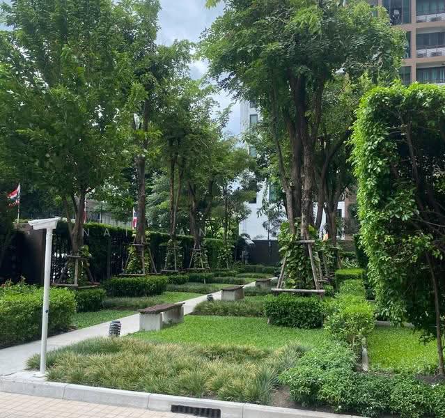 HIVE Taksin : ไฮฟ์ ตากสิน, กรุงเทพ, 18 1 ซอย, คลองต้นไทร, คลองสาน, กรุงเทพ, 73 ตร.ม., คอนโด ให้เช่า, โดย Nat Tantirapan, 500642775 - DDproperty.com