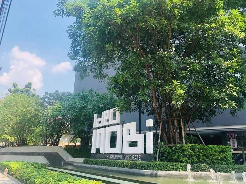 IDEO MOBI Sukhumvit 81, Bangkok, 2097 Sukhumvit Road, Bang Chak, Phra Khanong, Bangkok, 1 Bedroom, 31 sqm, Condo For Rent, by Rinrada Permpool, 500642972 - DDproperty.com