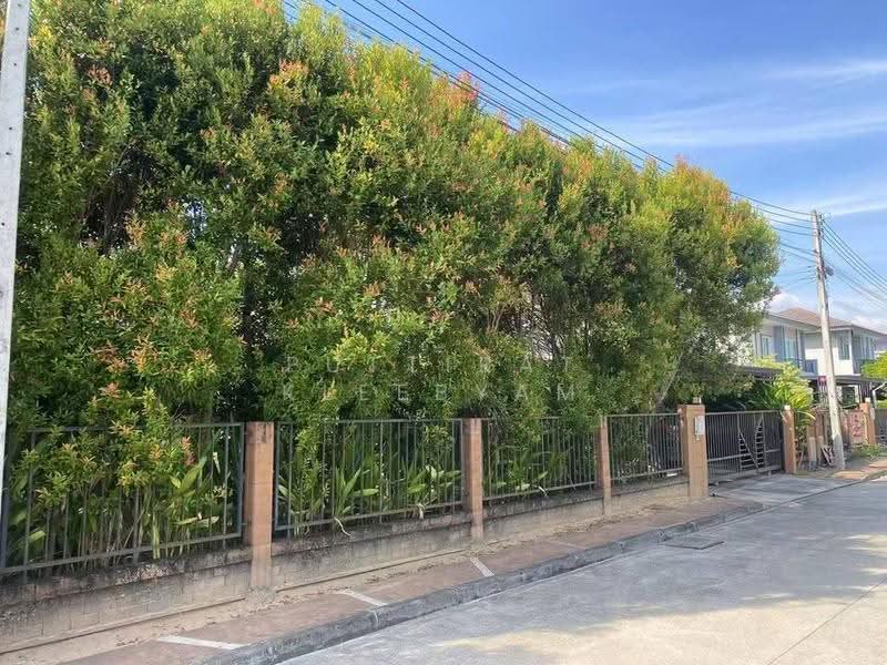 3 BR house, Phuket, Thep Krasattri, Thalang, Phuket, 3 Bedrooms, 300 sqm, Single Detached House For Sale, by Puttirat Kleebyam, 500643192 - DDproperty.com
