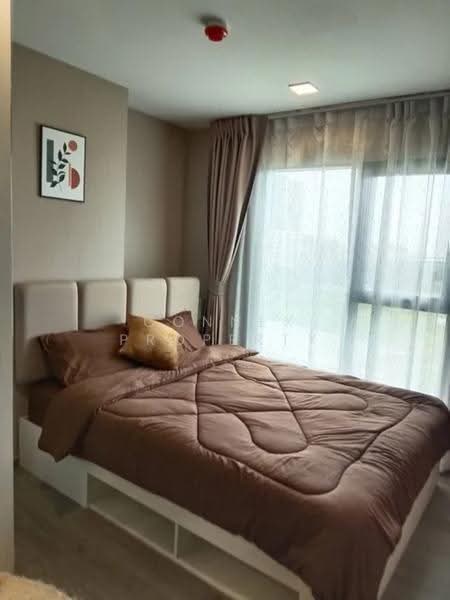 Kave Wonderland, Pathum Thani, 160, Khlong Nung, Khlong Luang, Pathum Thani, 1 Bedroom, 27 sqm, Condo For Rent, by Connex Property, 500643204 - DDproperty.com