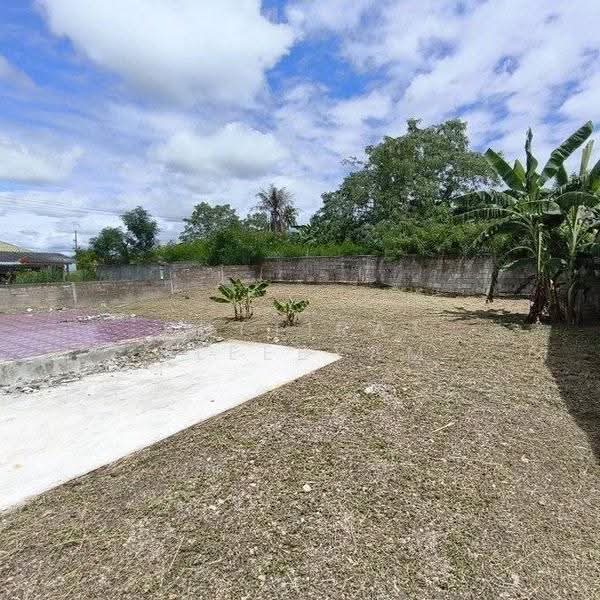 2-BR House, Prachuap Khiri Khan, Nong Ta Taem, Pran Buri, Prachuap Khiri Khan, 2 Bedrooms, 800 sqm, Single Detached House For Sale, by Puttirat Kleebyam, 500643207 - DDproperty.com