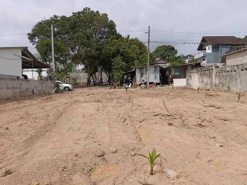 Studio House, Phuket, Rawai, Muang Phuket, Phuket, Studio, 47 sqm, Single Detached House For Sale, by Puttirat Kleebyam, 500643284 - DDproperty.com
