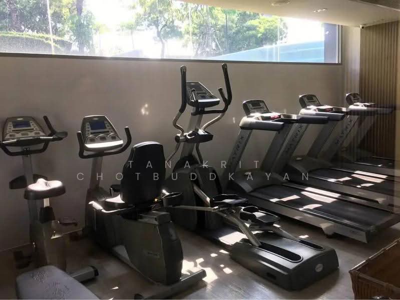 CEIL by Sansiri, Bangkok, 11 Soi Ekamai 12, Sukhumvit 63 Road, Khlong Tan Nua, Watthana, Bangkok, 1 Bedroom, 35 sqm, Condo For Sale, by Tanakrit Chotbuddkayan, 500644054 - DDproperty.com