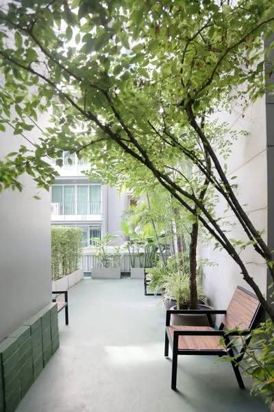 DLV Thonglor 20 : ดี แอล วี ทองหล่อ 20, กรุงเทพ, 18 ซอยทองหล่อ 20 ถนนทองหล่อ, คลองตันเหนือ, วัฒนา, กรุงเทพ, 110 ตร.ม., คอนโด ให้เช่า, โดย Tanakrit Chotbuddkayan, 500644267 - DDproperty.com