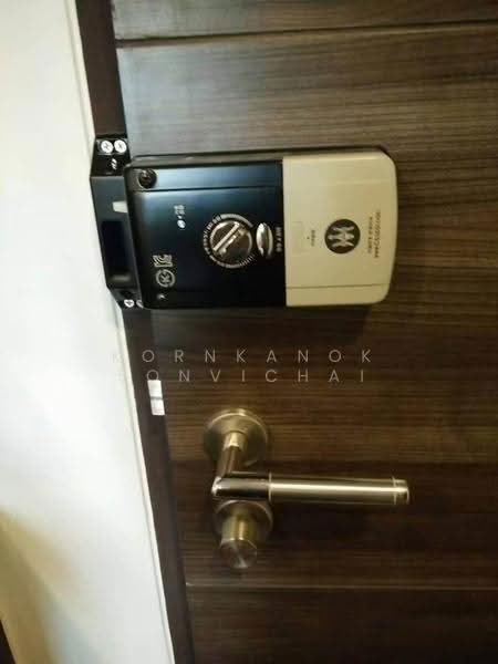 Focus Ploenchit, Bangkok, Soi Sukhumvit 2, Khlong Toei, Bangkok, 1 Bedroom, 36 sqm, Condo For Rent, by Kornkanok Sonvichai, 500644866 - DDproperty.com