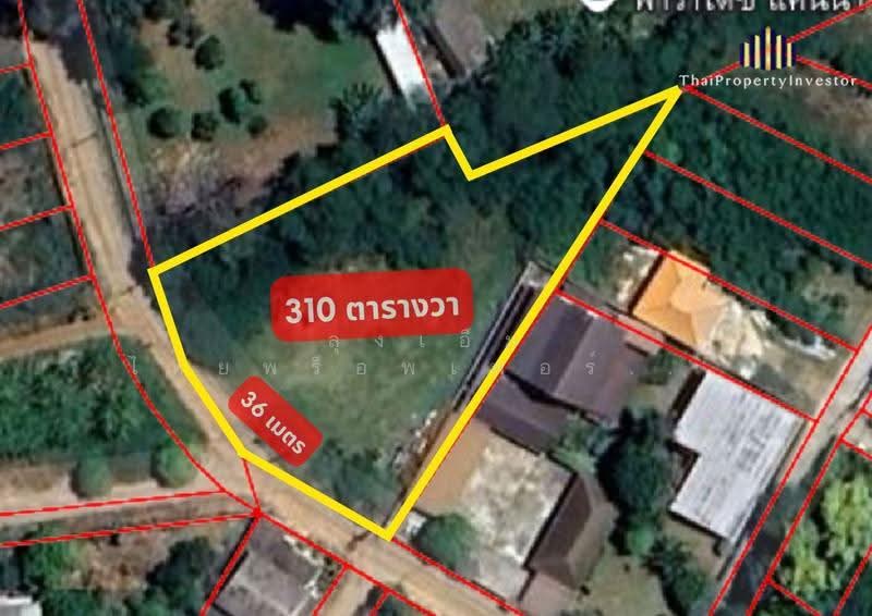 ขายที่ดินปากช่อง ในเมือง ใกล้ตลาดไนท์ 310 ตร.ว. ถมแล้ว ผังสีชมพู, Nakhon Ratchasima, Pak Chong, Nakhon Ratchasima, , 1,240 sqm, Land For Sale, by คุณเอ็มมี่, 500645492 - DDproperty.com