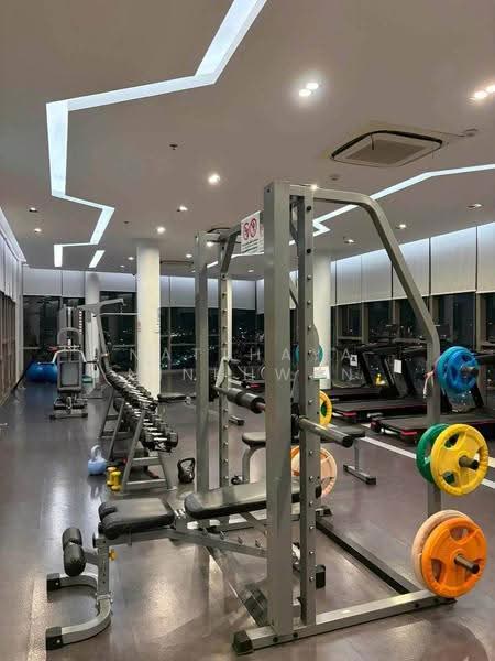 Niche Mono Charoen Nakorn, Bangkok, Charoen Nakhon Road, Dao Khanong, Thon Buri, Bangkok, 1 Bedroom, 35 sqm, Condo For Rent, by Natthaya Ninkhwan, 500645836 - DDproperty.com