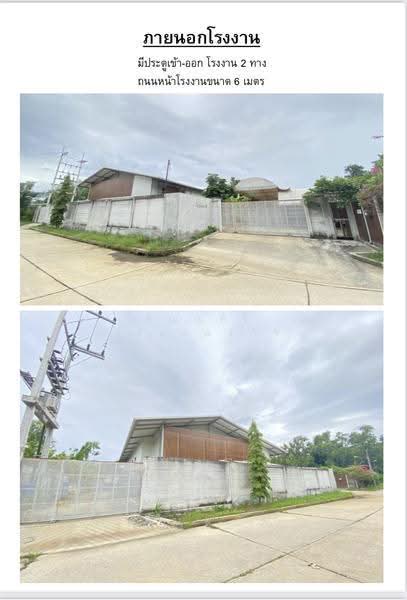 ขาย, Pathum Thani, เมืองเอก 4, Lak Hok, Muang Pathum Thani, Pathum Thani, , 1,000 sqm, Warehouse/Factory For Sale, by พิณณ์ศิริ พิริยะพรกิจ, 500645845 - DDproperty.com