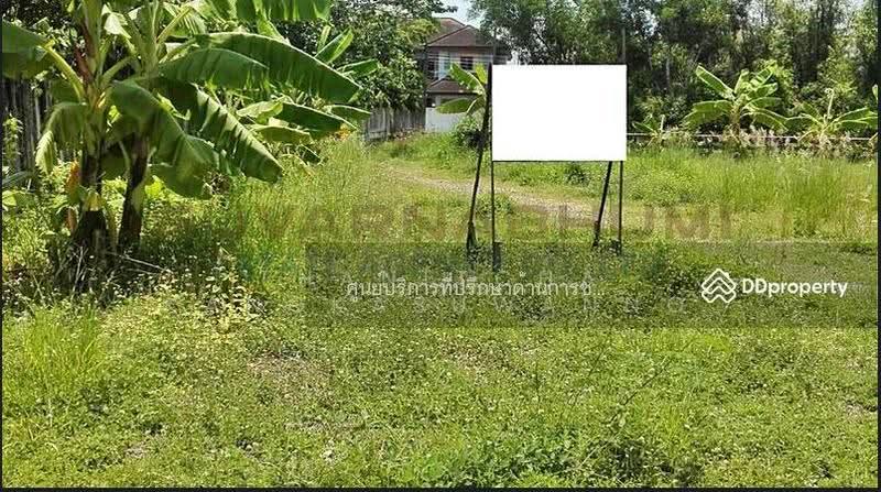 ขายที่ดิน 137 ตารางวา ซอย เชื่อมสัมพันธ์ หนองจอก, กรุงเทพ, Bangkok, Krathum Rai, Nong Chok, Bangkok, , 548 sqm, Land For Sale, by Thanitcha Kangkasuwanno, 500645949 - DDproperty.com