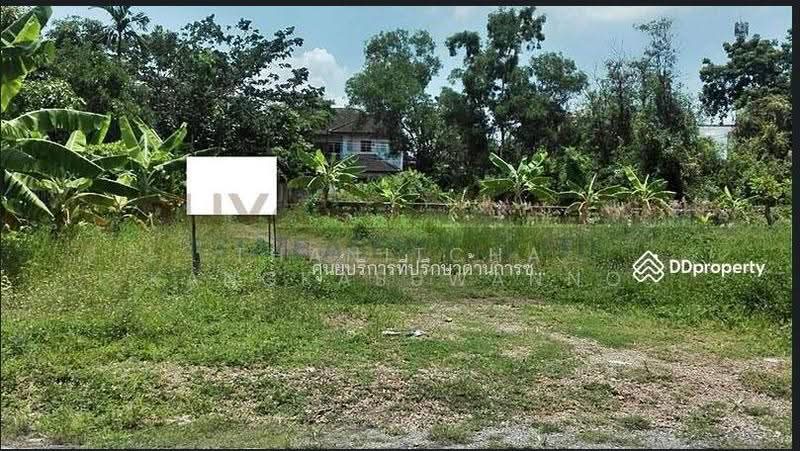 ขายที่ดิน 137 ตารางวา ซอย เชื่อมสัมพันธ์ หนองจอก, กรุงเทพ, Bangkok, Krathum Rai, Nong Chok, Bangkok, , 548 sqm, Land For Sale, by Thanitcha Kangkasuwanno, 500645949 - DDproperty.com