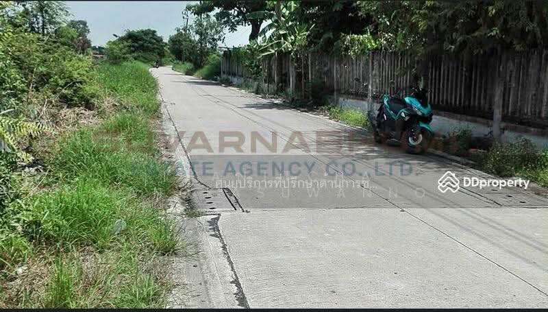 ขายที่ดิน 137 ตารางวา ซอย เชื่อมสัมพันธ์ หนองจอก, กรุงเทพ, Bangkok, Krathum Rai, Nong Chok, Bangkok, , 548 sqm, Land For Sale, by Thanitcha Kangkasuwanno, 500645949 - DDproperty.com