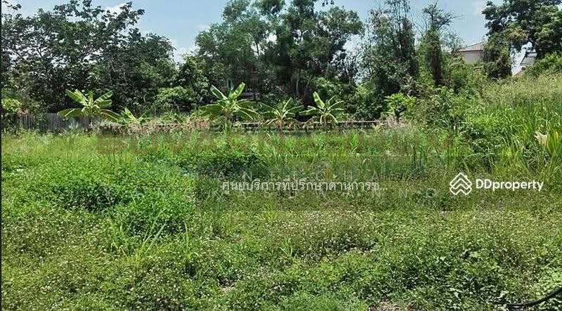 ขายที่ดิน 137 ตารางวา ซอย เชื่อมสัมพันธ์ หนองจอก, กรุงเทพ, Bangkok, Krathum Rai, Nong Chok, Bangkok, , 548 sqm, Land For Sale, by Thanitcha Kangkasuwanno, 500645949 - DDproperty.com