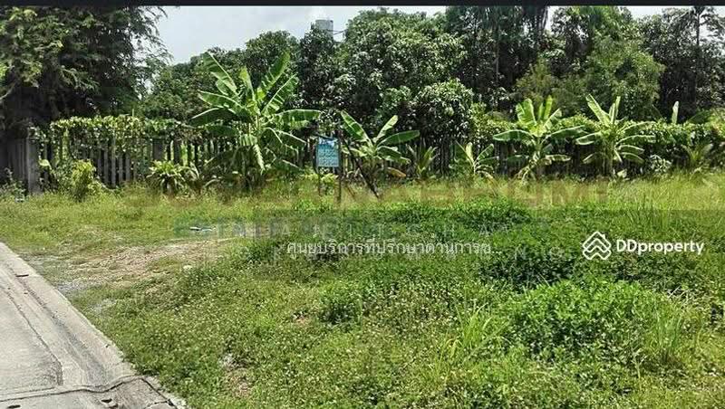 ขายที่ดิน 137 ตารางวา ซอย เชื่อมสัมพันธ์ หนองจอก, กรุงเทพ, Bangkok, Krathum Rai, Nong Chok, Bangkok, , 548 sqm, Land For Sale, by Thanitcha Kangkasuwanno, 500645949 - DDproperty.com