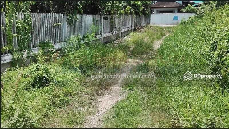 ขายที่ดิน 137 ตารางวา ซอย เชื่อมสัมพันธ์ หนองจอก, กรุงเทพ, กรุงเทพ, กระทุ่มราย, หนองจอก, กรุงเทพ, 548 ตร.ม., ที่ดิน ขาย, โดย Thanitcha Kangkasuwanno, 500645949 - DDproperty.com