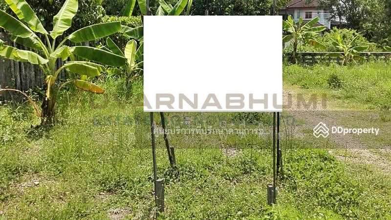 ขายที่ดิน 137 ตารางวา ซอย เชื่อมสัมพันธ์ หนองจอก, กรุงเทพ, Bangkok, Krathum Rai, Nong Chok, Bangkok, , 548 sqm, Land For Sale, by Thanitcha Kangkasuwanno, 500645949 - DDproperty.com