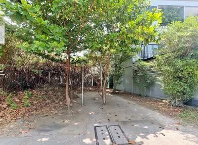 ขาย - ที่ดินสำโรงเหนือ สมุทรปราการ, สมุทรปราการ