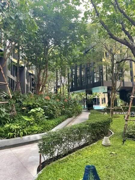 The Base Central : เดอะ เบส เซ็นทรัล ภูเก็ต, ภูเก็ต, ถนน เจ้าฟ้าตะวันตก, วิชิต, เมืองภูเก็ต, ภูเก็ต, 28 ตร.ม., คอนโด ให้เช่า, โดย Connex Property, 500646353 - DDproperty.com