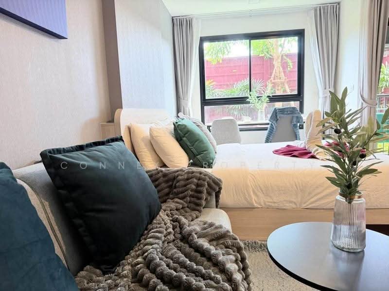The Base Bukit Phuket, Phuket, 12 Vichitsongkram Rd, Wichit, Muang Phuket, Phuket, 1 Bedroom, 26 sqm, Condo For Rent, by Connex Property, 500646375 - DDproperty.com