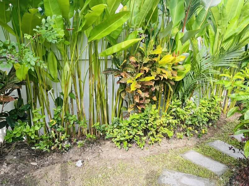 Suriyaporn Place, Phuket, Chalong, Muang Phuket, Phuket, 3 Bedrooms, 156 sqm, Single Detached House For Rent, by MeiMei, 500646502 - DDproperty.com