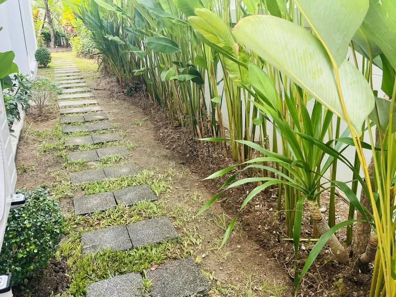 Suriyaporn Place : หมู่บ้านสุริยพรเพลส, ภูเก็ต, ฉลอง, เมืองภูเก็ต, ภูเก็ต, 156 ตร.ม., บ้านเดี่ยว ให้เช่า, โดย MeiMei, 500646502 - DDproperty.com