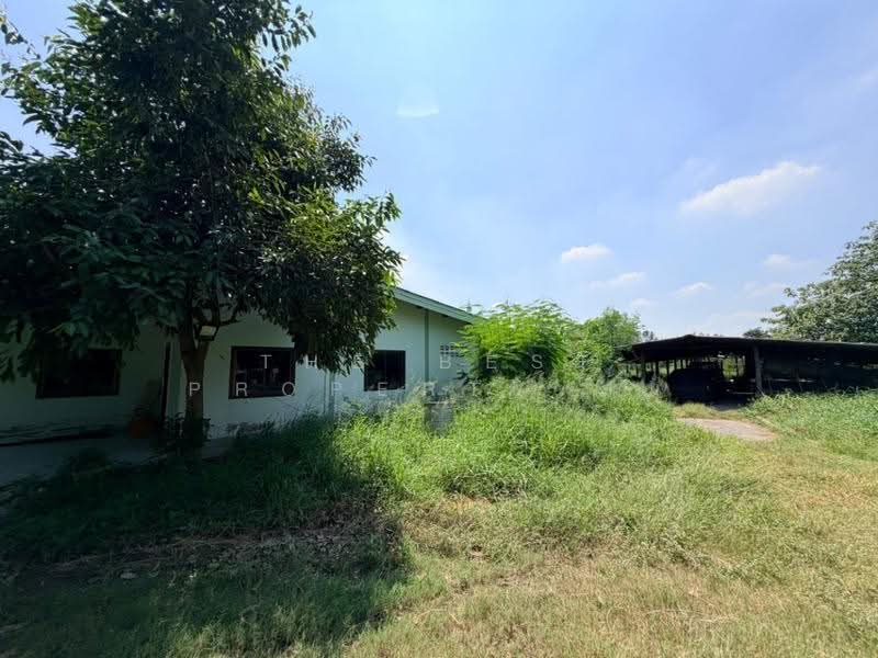 บ้านเดี่ยวพร้อมที่ดินกำแพงแสน นครปฐมd, นครปฐม, ทุ่งบัว, กำแพงแสน, นครปฐม, 200 ตร.ม., บ้านเดี่ยว ขาย, โดย The Best Property ส้ม, 500646531 - DDproperty.com