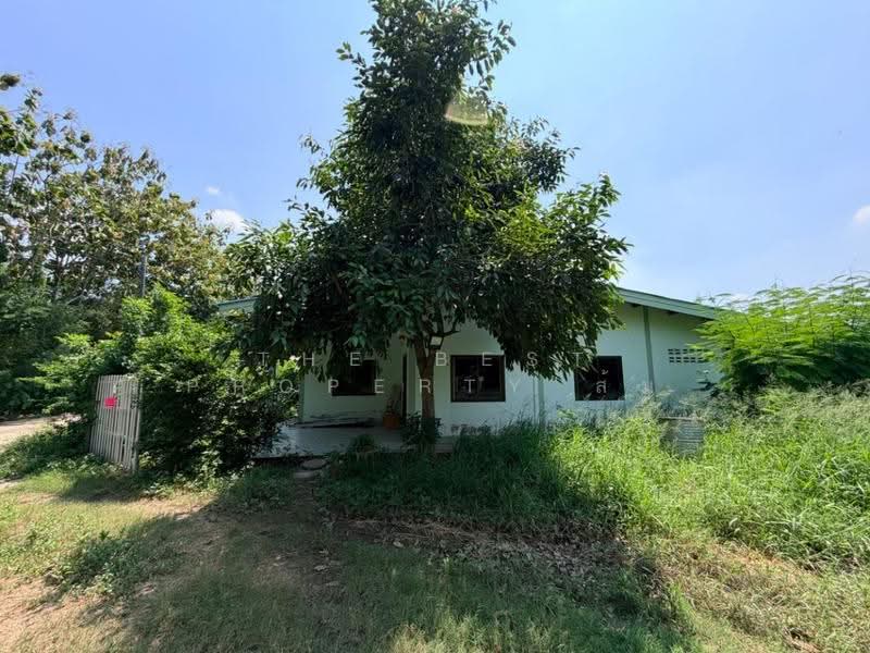 บ้านเดี่ยวพร้อมที่ดินกำแพงแสน นครปฐมd, Nakhon Pathom, Thung Bua, Kamphaeng Saen, Nakhon Pathom, 4 Bedrooms, 200 sqm, Single Detached House For Sale, by The Best Property ส้ม, 500646531 - DDproperty.com