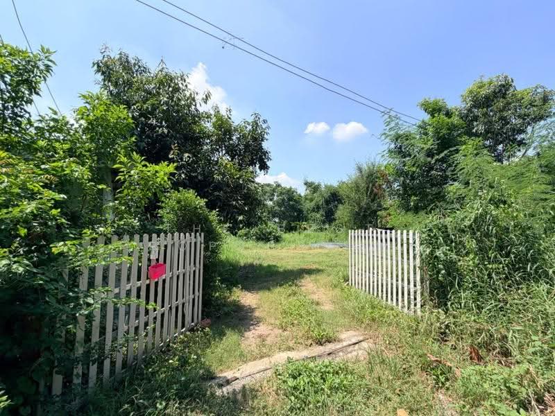 บ้านเดี่ยวพร้อมที่ดินกำแพงแสน นครปฐมd, Nakhon Pathom, Thung Bua, Kamphaeng Saen, Nakhon Pathom, 4 Bedrooms, 200 sqm, Single Detached House For Sale, by The Best Property ส้ม, 500646531 - DDproperty.com