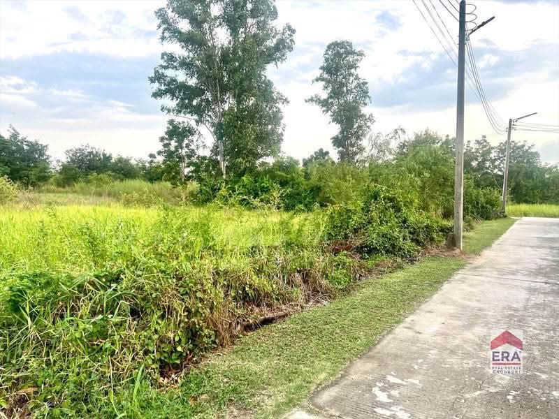 ขายด่วน! ที่ดิน 2 ไร่กว่า หนองกะขะ พานทอง ชลบุรี เพียง 7 ล้านบาท, Chon Buri (Pattaya), Nong Kakha, Phan Thong, Chon Buri (Pattaya), , 3,716 sqm, Land For Sale, by ERA Thailand, 500646598 - DDproperty.com