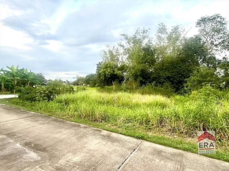 ขายด่วน! ที่ดิน 2 ไร่กว่า หนองกะขะ พานทอง ชลบุรี เพียง 7 ล้านบาท, Chon Buri (Pattaya), Nong Kakha, Phan Thong, Chon Buri (Pattaya), , 3,716 sqm, Land For Sale, by ERA Thailand, 500646598 - DDproperty.com