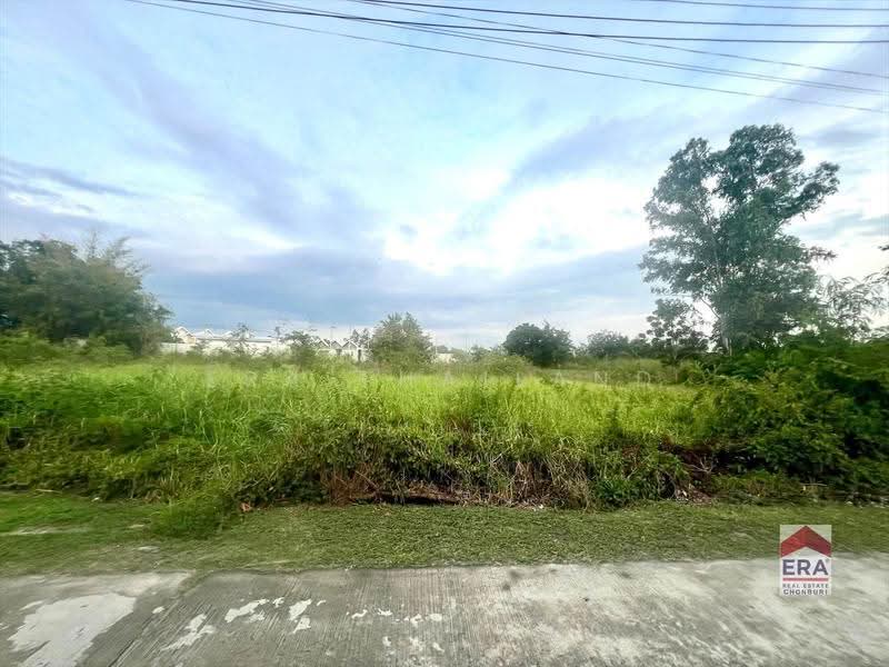 ขายด่วน! ที่ดิน 2 ไร่กว่า หนองกะขะ พานทอง ชลบุรี เพียง 7 ล้านบาท, Chon Buri (Pattaya), Nong Kakha, Phan Thong, Chon Buri (Pattaya), , 3,716 sqm, Land For Sale, by ERA Thailand, 500646598 - DDproperty.com