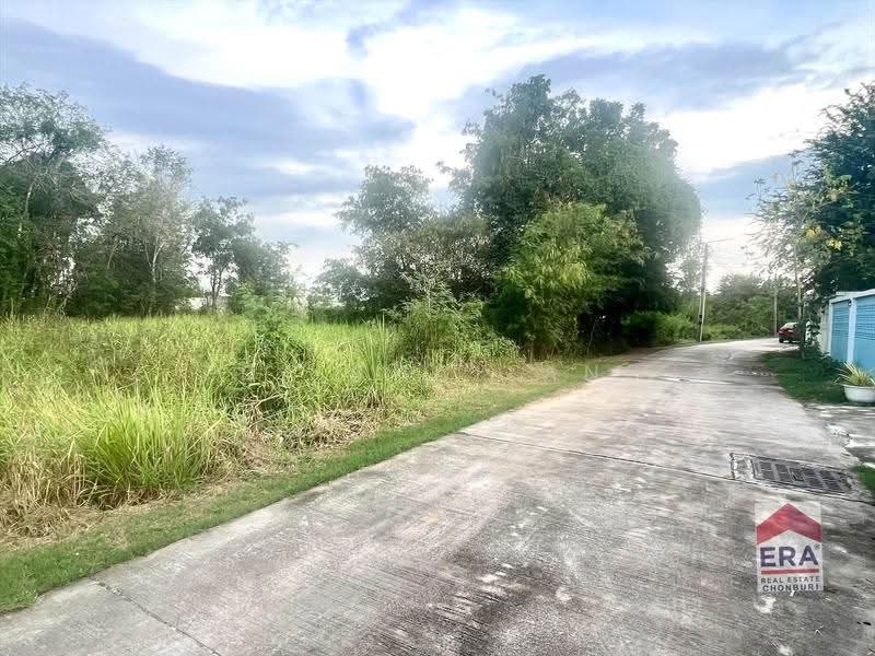 ขายด่วน! ที่ดิน 2 ไร่กว่า หนองกะขะ พานทอง ชลบุรี เพียง 7 ล้านบาท, Chon Buri (Pattaya), Nong Kakha, Phan Thong, Chon Buri (Pattaya), , 3,716 sqm, Land For Sale, by ERA Thailand, 500646598 - DDproperty.com
