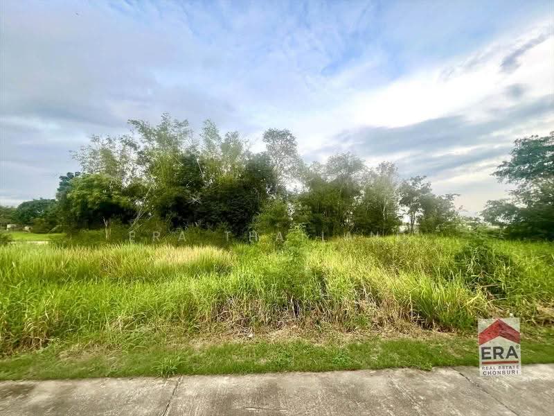 ขายด่วน! ที่ดิน 2 ไร่กว่า หนองกะขะ พานทอง ชลบุรี เพียง 7 ล้านบาท, Chon Buri (Pattaya), Nong Kakha, Phan Thong, Chon Buri (Pattaya), , 3,716 sqm, Land For Sale, by ERA Thailand, 500646598 - DDproperty.com