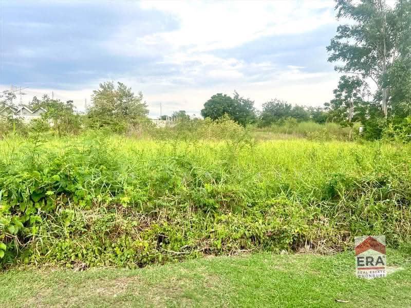 ขายด่วน! ที่ดิน 2 ไร่กว่า หนองกะขะ พานทอง ชลบุรี เพียง 7 ล้านบาท, Chon Buri (Pattaya), Nong Kakha, Phan Thong, Chon Buri (Pattaya), , 3,716 sqm, Land For Sale, by ERA Thailand, 500646598 - DDproperty.com
