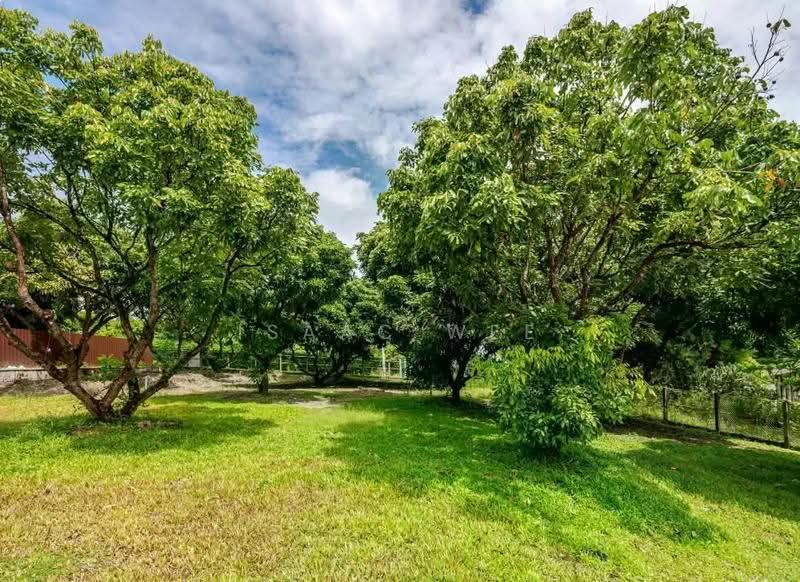 Private 2-Bedroom House with Spacious Garden for Rent in Mae Rim, Chiang Mai, Chiang Mai, Ki Lek, Mae Rim, Chiang Mai, 2 Bedrooms, 120 sqm, Single Detached House For Rent, by ISAAC WEE, 500646731 - DDproperty.com