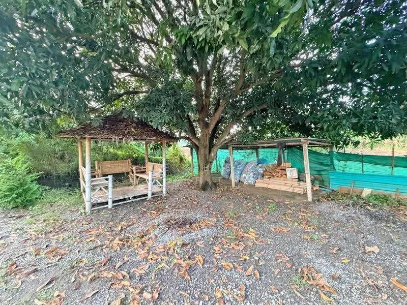 บ้านเดี่ยวพร้อมที่ดินกำแพงแสน นครปฐม, Nakhon Pathom, Huai Khwang, Kamphaeng Saen, Nakhon Pathom, 3 Bedrooms, 150 sqm, Single Detached House For Sale, by The Best Property ส้ม, 500647403 - DDproperty.com